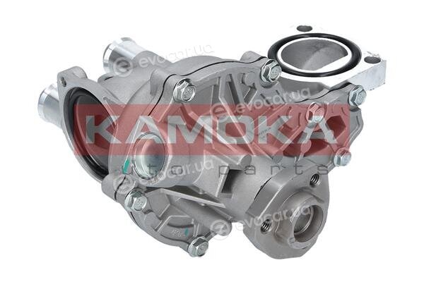 Kamoka T0043
