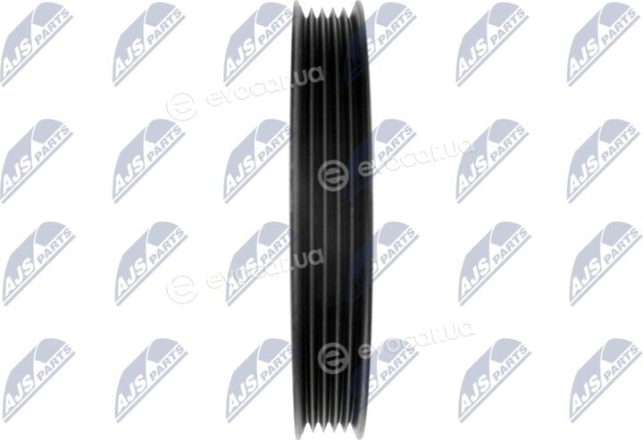 NTY RKP-MS-004