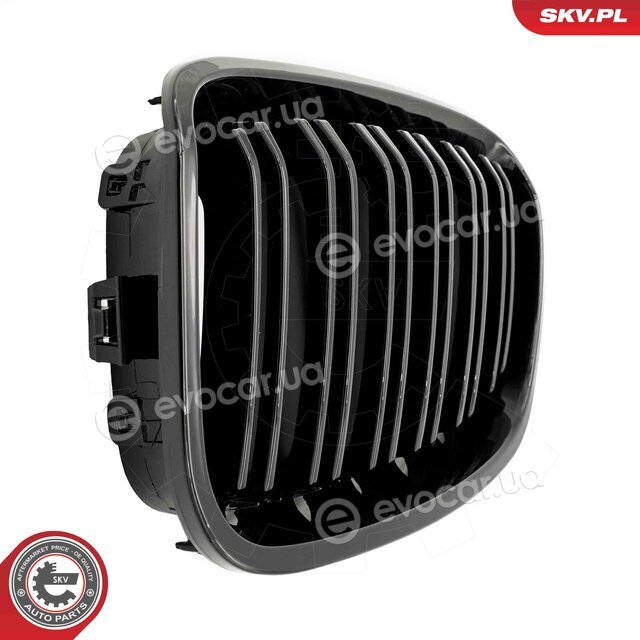 SKV 66SKV016