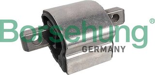 Borsehung B12659