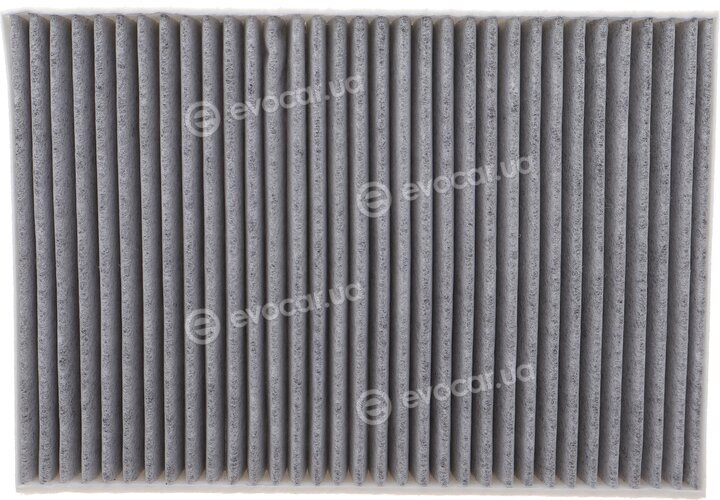Solgy 104142