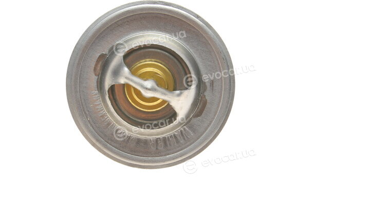Wahler / BorgWarner 3141.87D