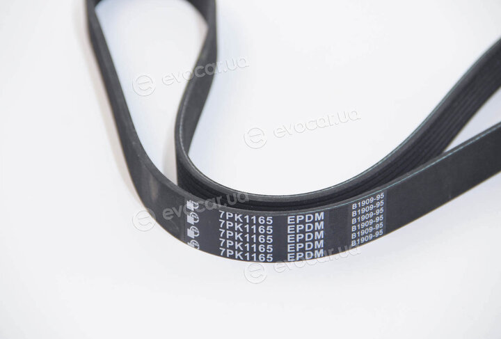 BGA 7PK1165