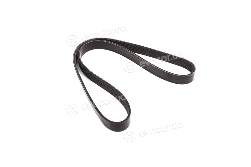 Dayco 6PK962S