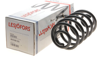 Lesjofors 4263456