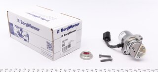 BorgWarner DS119863