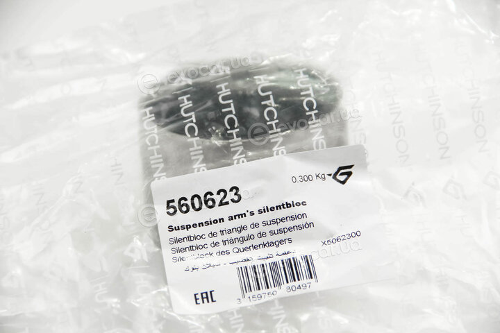 Hutchinson 560623