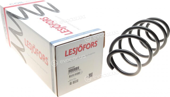 Lesjofors 4004283