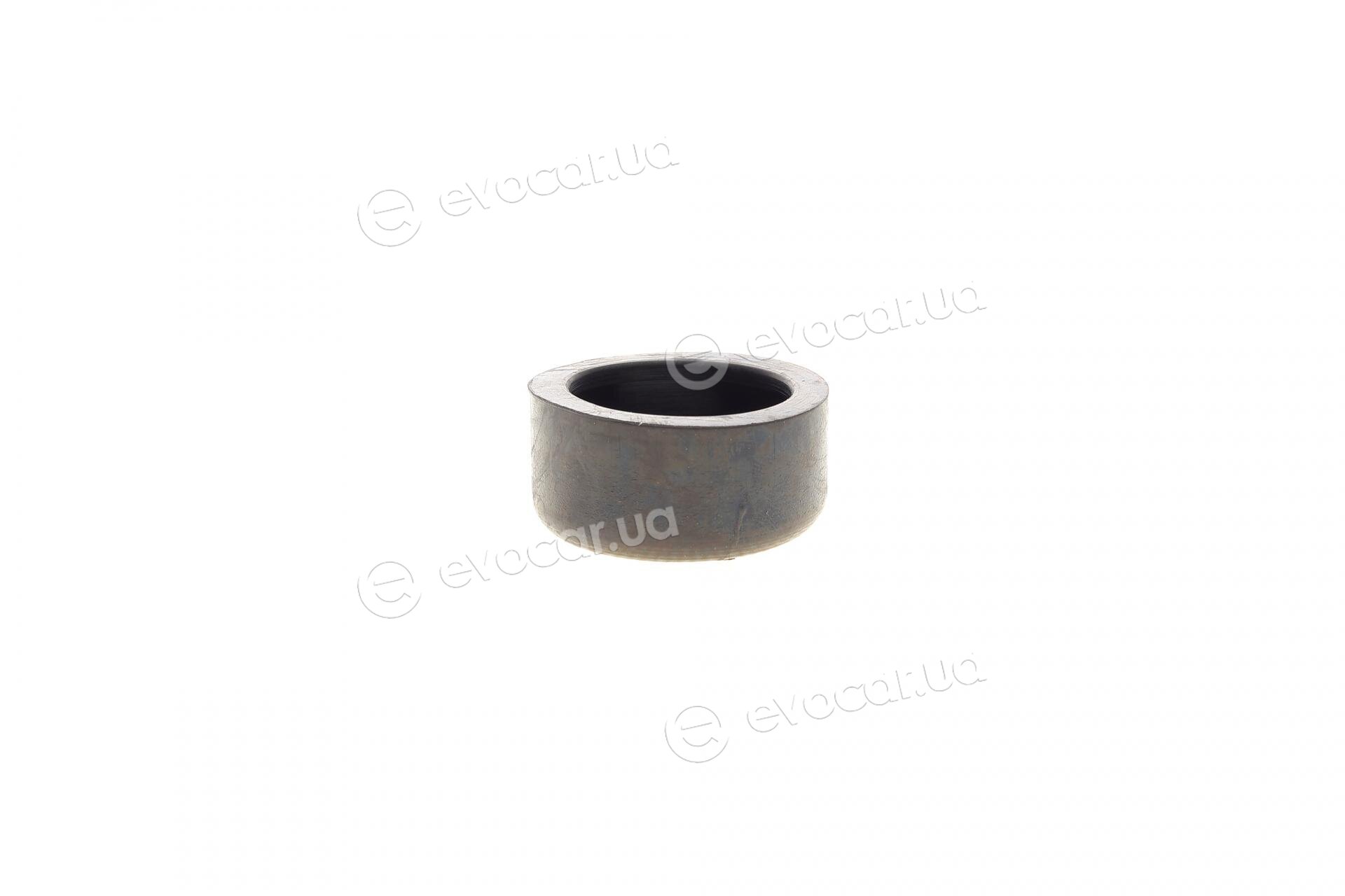 Frenkit 317009