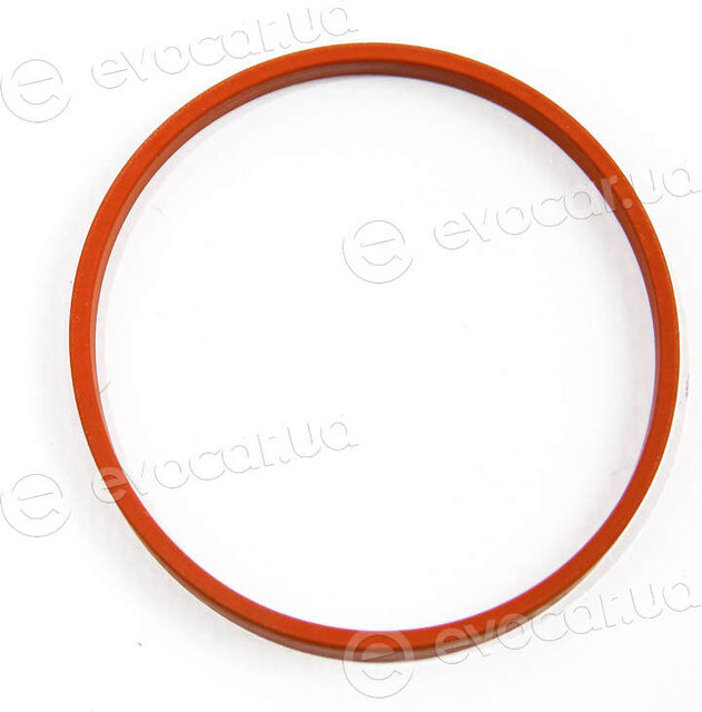 Elring 006.070