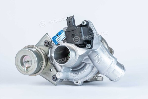 BorgWarner 53039880425