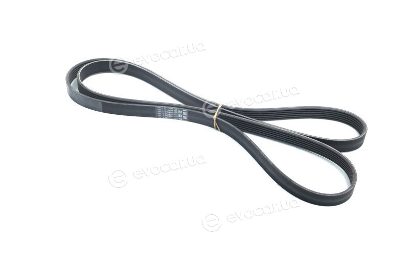 Continental 6PK2060