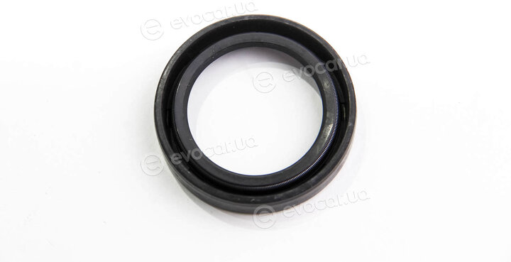 Elring 302.430