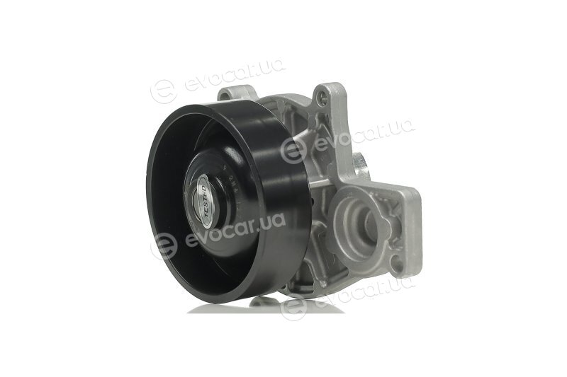 Continental WPS3079