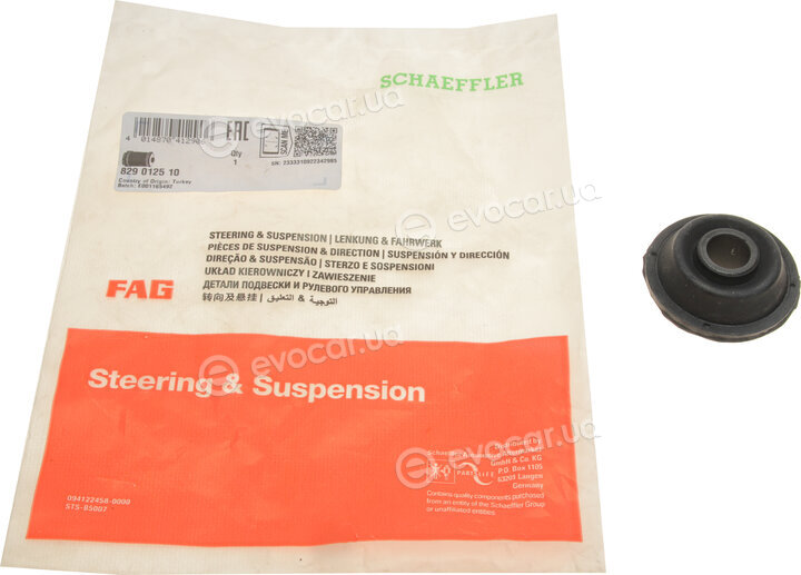 FAG 829 0125 10