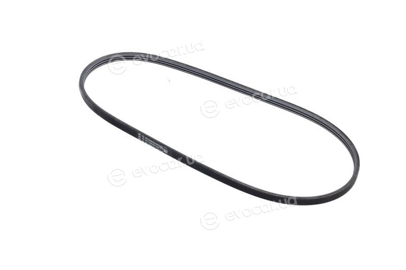 Continental 3PK863 ELAST