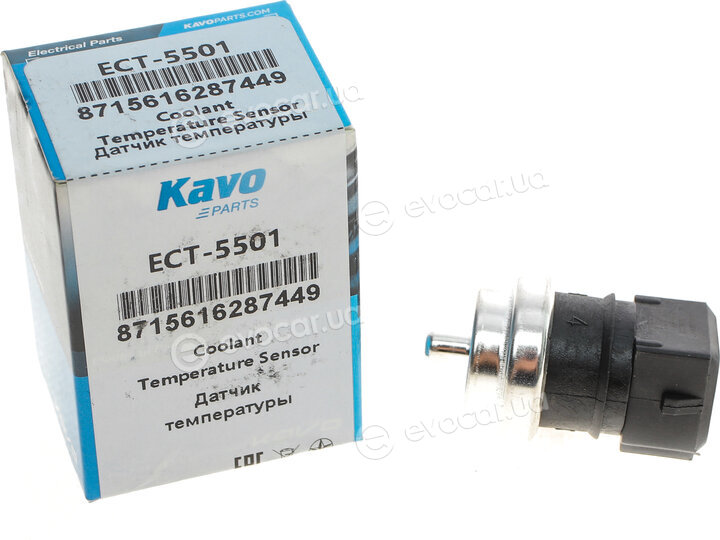 Kavo ECT-5501