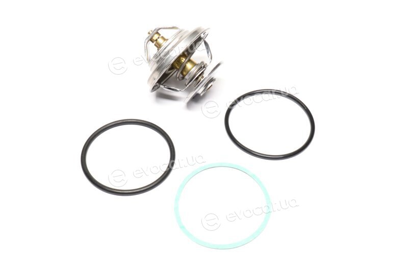 Mahle TX 23 83D