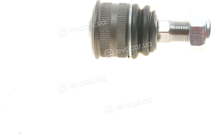 Solgy 203108