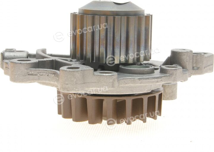 Continental WP6136