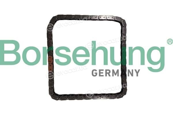 Borsehung B12785