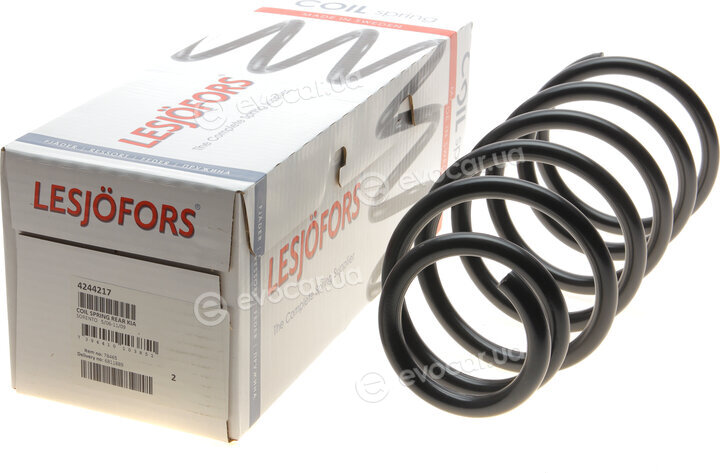 Lesjofors 4244217