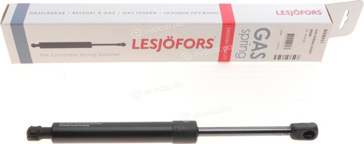 Lesjofors 8008417