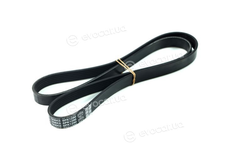 Dayco 6PK1290