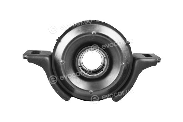 Tedgum TED12597
