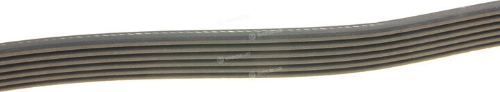 Dayco 6PK2255