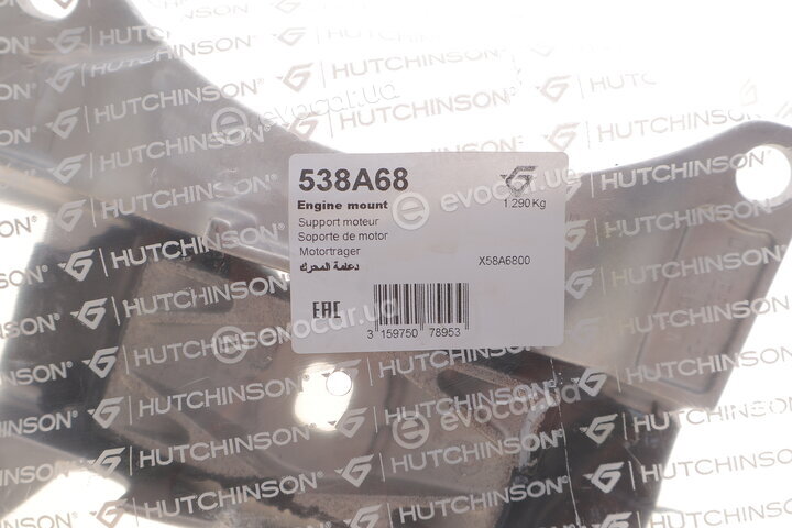 Hutchinson 538A68