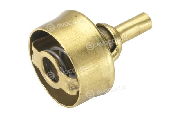Wahler / BorgWarner 3029.89