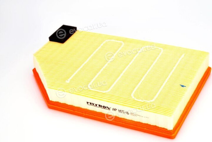 Filtron AP 165/6