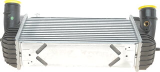 NRF 309066