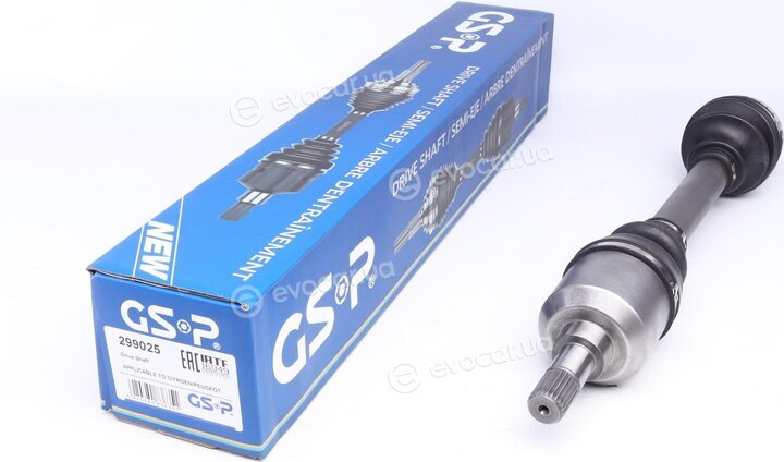 GSP 299025