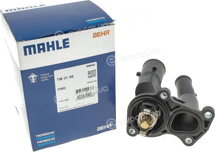 Mahle TM 31 98