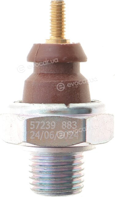 AIC 57239
