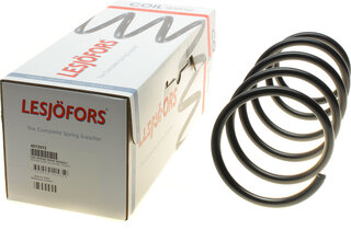Lesjofors 4072972