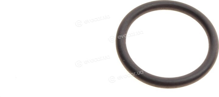Elring 527.250