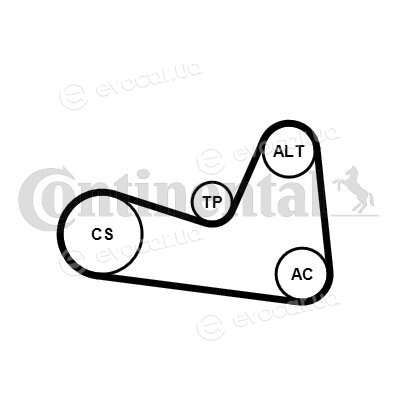 Continental 6PK1200K1