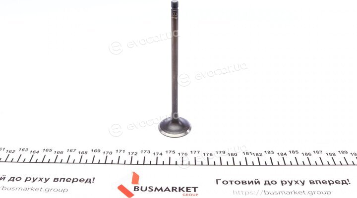 AMP PHON034-S-0-N