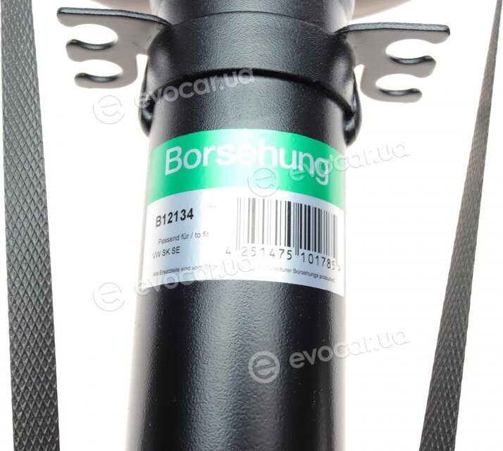 Borsehung B12134