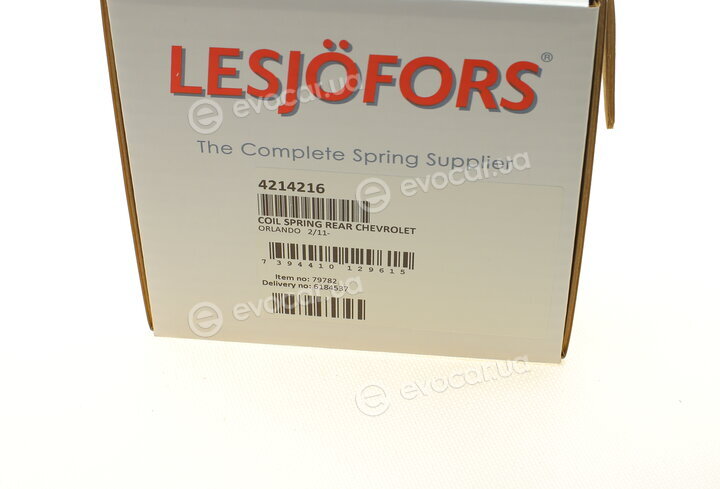 Lesjofors 4214216