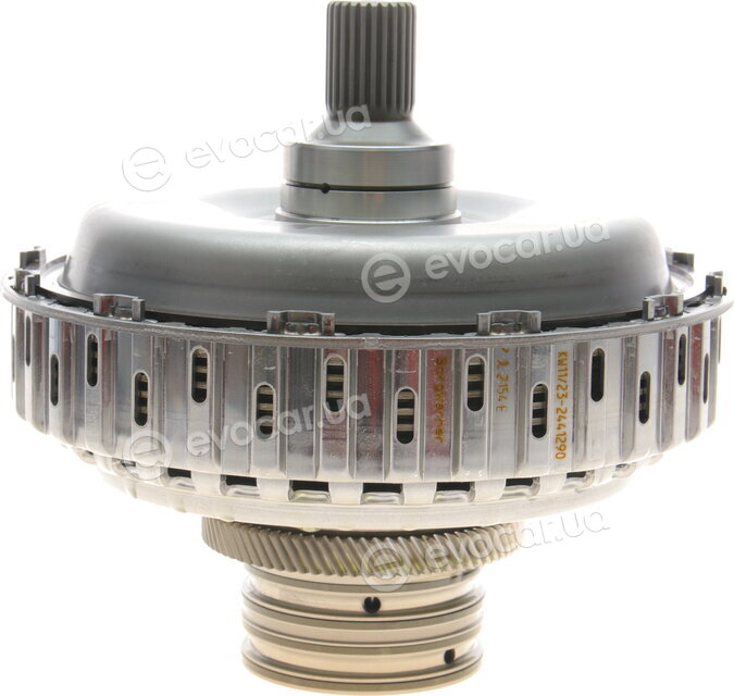 BorgWarner 202154