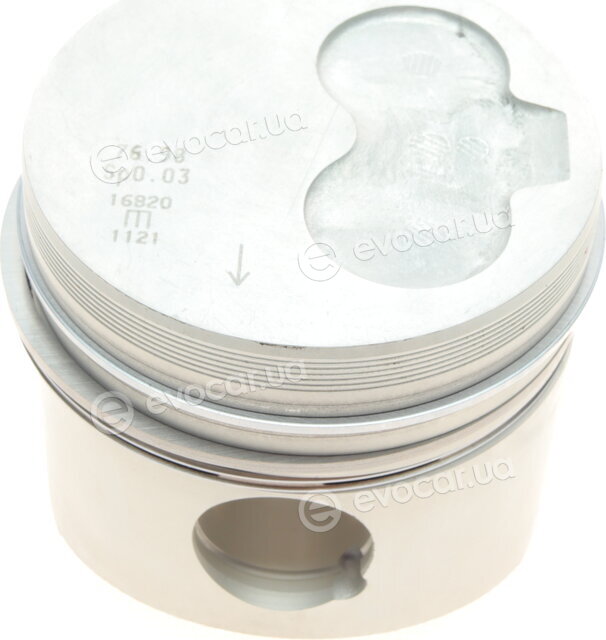 Mahle 029 55 01