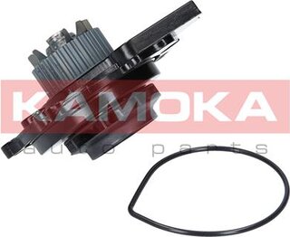 Kamoka T0031