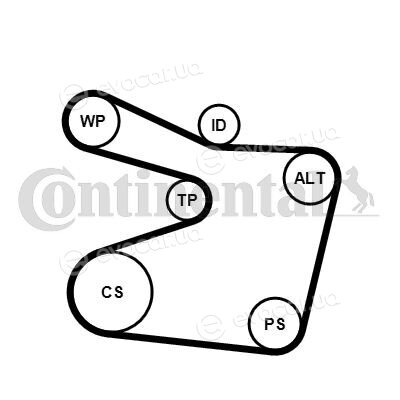 Continental 6PK1555K1