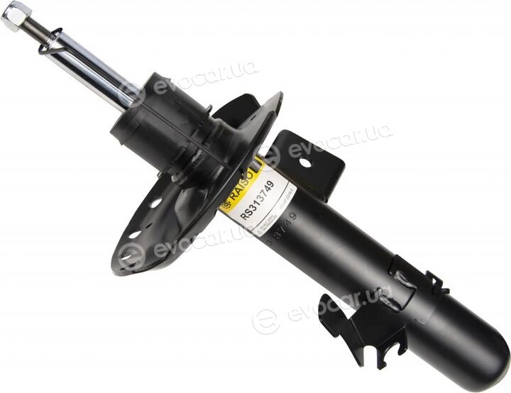 Raiso RS313749