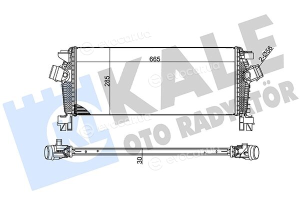 Kale 344700