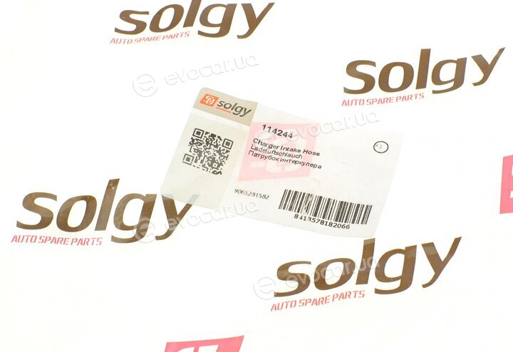 Solgy 114244